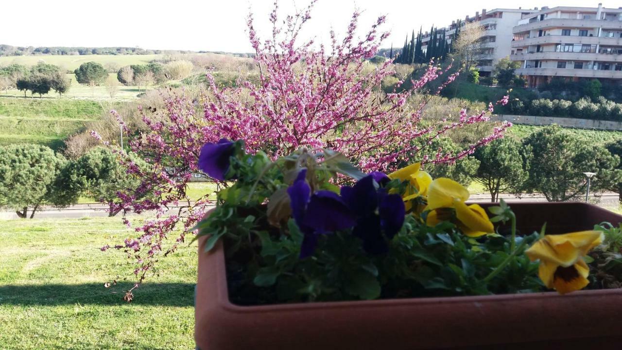 B&B Colline Verdi Vitinia Exteriér fotografie