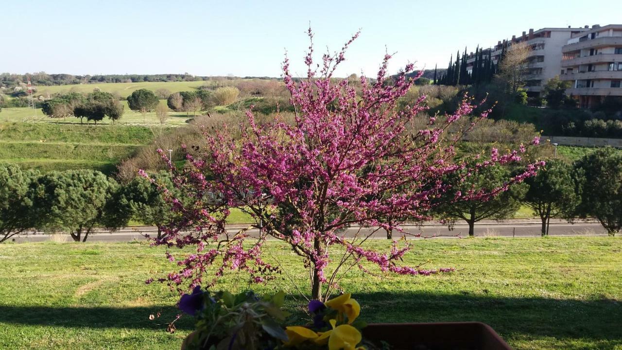 B&B Colline Verdi Vitinia Exteriér fotografie